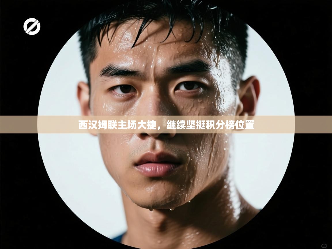 西汉姆联主场大捷，继续坚挺积分榜位置  第1张