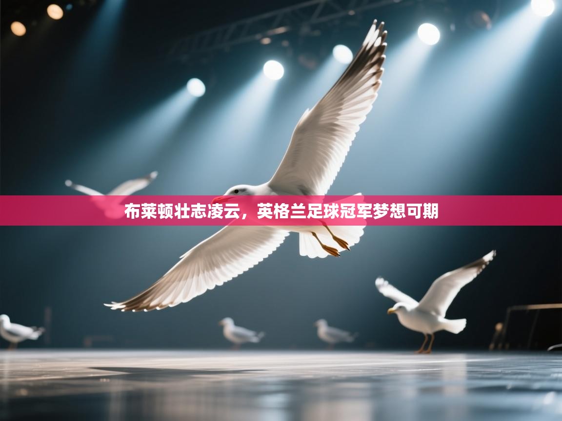 布莱顿壮志凌云，英格兰足球冠军梦想可期  第2张