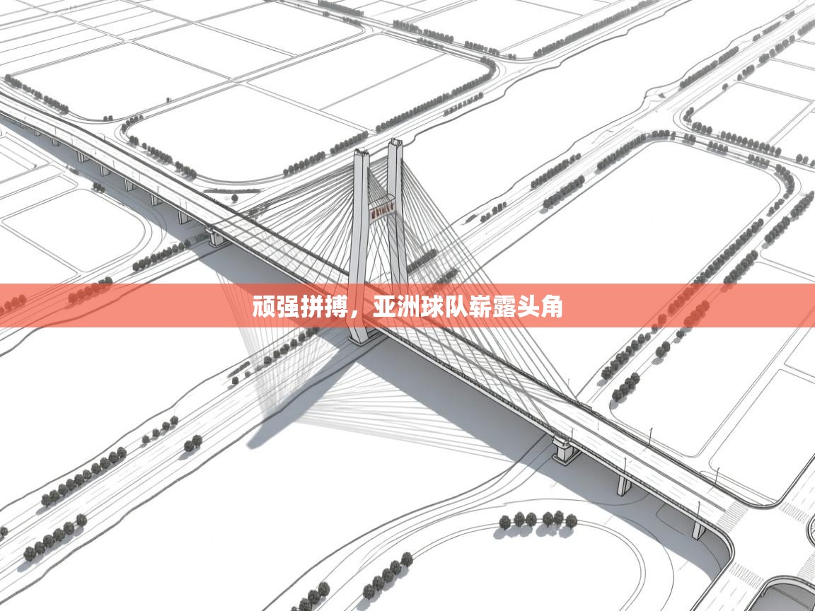 顽强拼搏,亚洲球队崭露头角 第2张