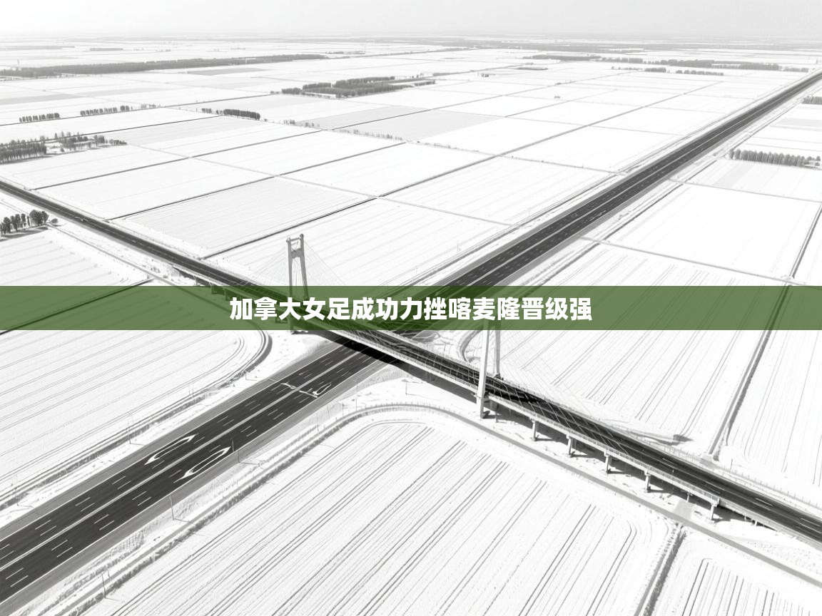 加拿大女足成功力挫喀麦隆晋级强  第2张