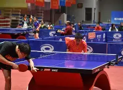 体操选手魏纪中在全国锦标赛上夺得桂冠，称霸全场的简单介绍